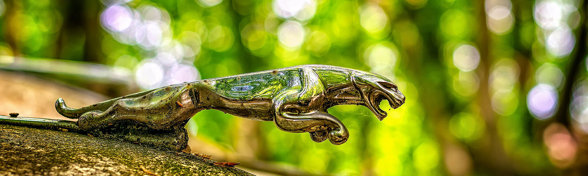 Die Motorhaube eines Jaguars