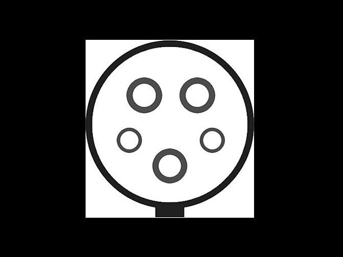 Der Typ-1 Stecker