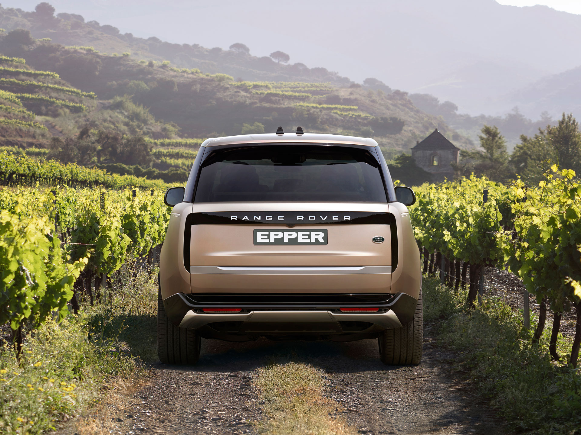 Der neue Range Rover von hinten auf einem Feld
